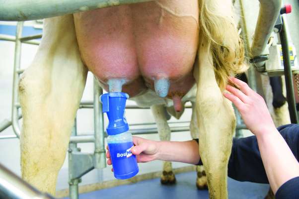 BouMatic BlueMAX Premium απολύμανση θηλών