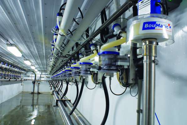 BouMatic Cyclone βαλβίδα αέρα