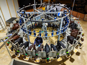 BouMatic κυκλικό περιστροφικό αρμεκτήριο